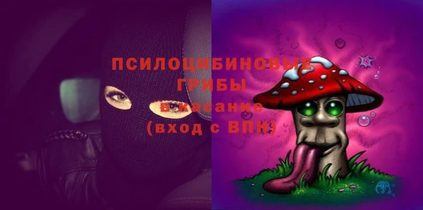 шишки Белокуриха